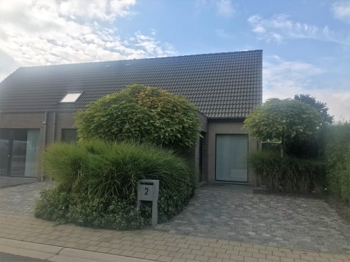 moleysekouter2 (1)